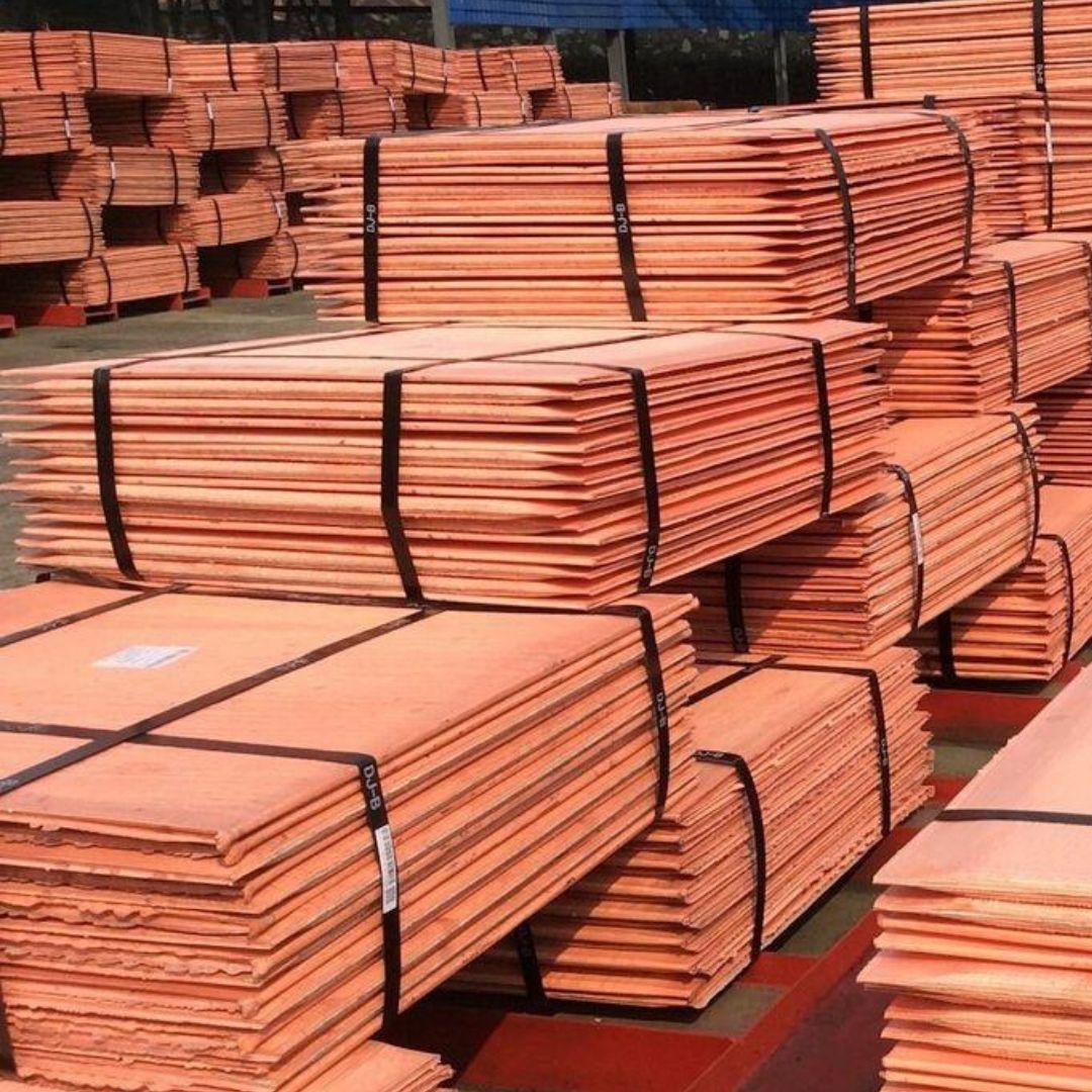 Copper Cathodes 